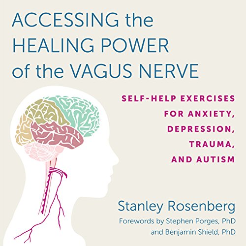 Accessing the Healing Power of the Vagus Nerve By Stanley Rosenberg, Benjamin Shield