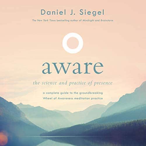 Aware | Daniel J Siegel