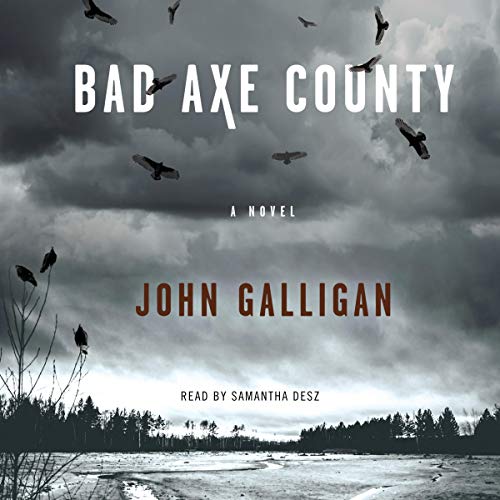 Bad Axe County By John Galligan
