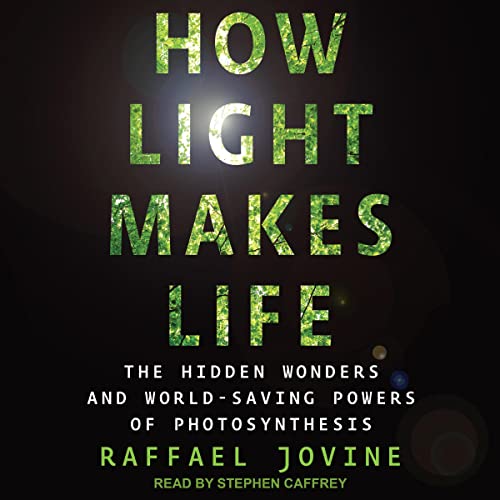 How Light Makes Life By Raffael Jovine