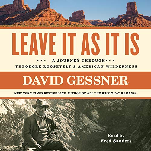 Leave It as It Is By David Gessner