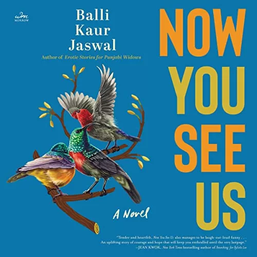 Now You See Us By Balli Kaur Jaswal