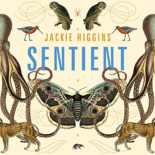 Sentient By Jackie Higgins