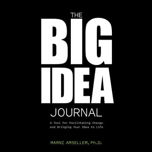 The Big Idea Journal By Marni Amsellem PhD