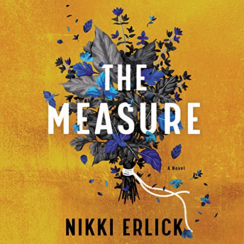 The Measure By Nikki Erlick
