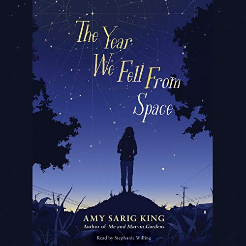 The Year We Fell from Space By Amy Sarig King