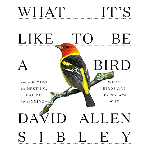 What It’s Like to Be a Bird By David Allen Sibley