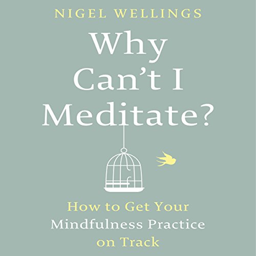 Why Can’t I Meditate? By Nigel Wellings