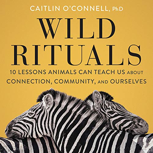 Wild Rituals By Caitlin O’Connell